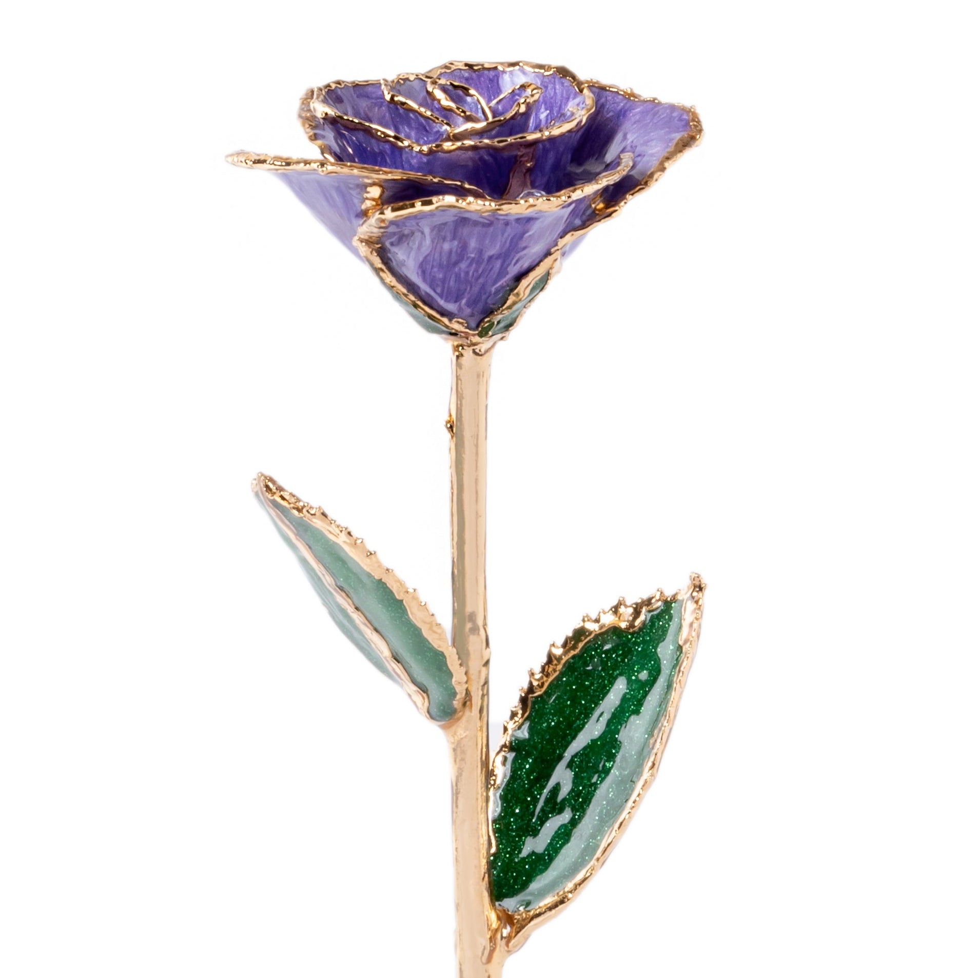 Purple rose with gold stem and leaves on a white background