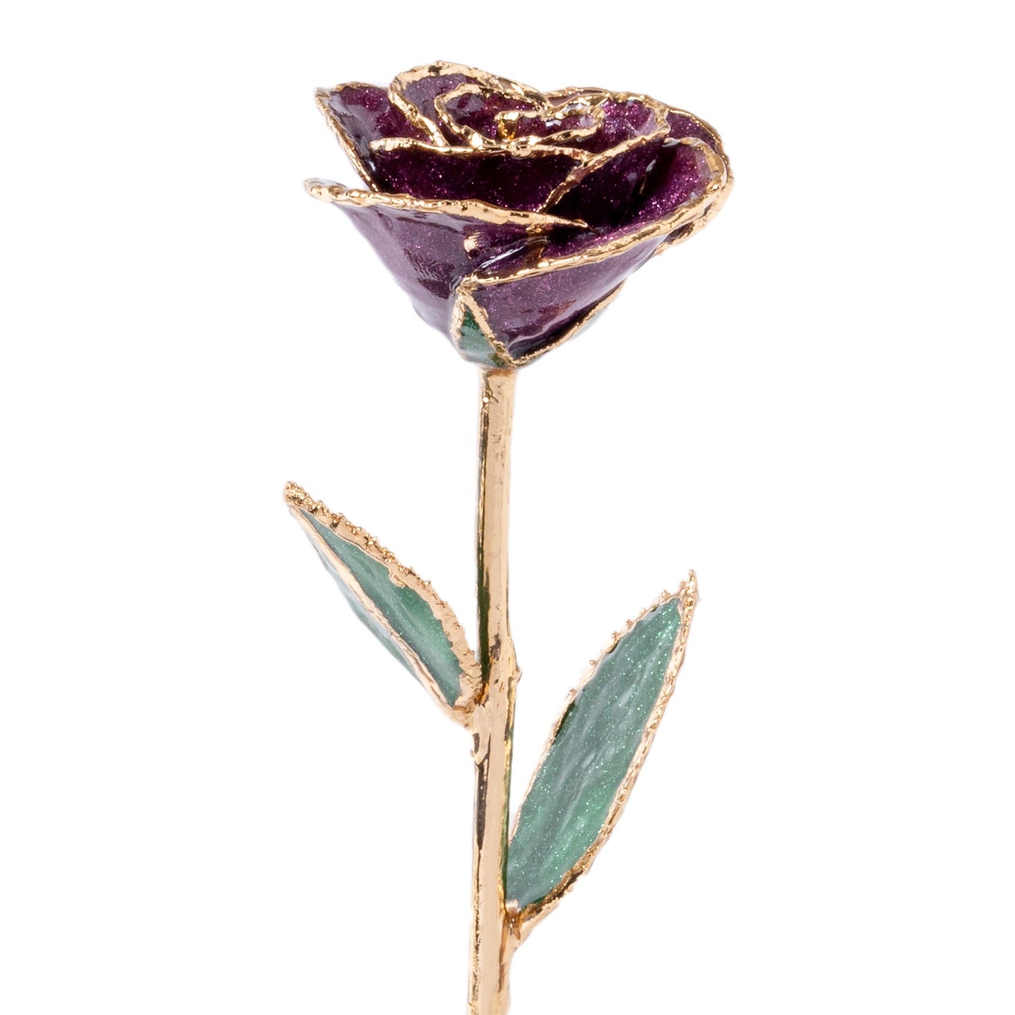 Purple rose with gold stem and leaves on a white background