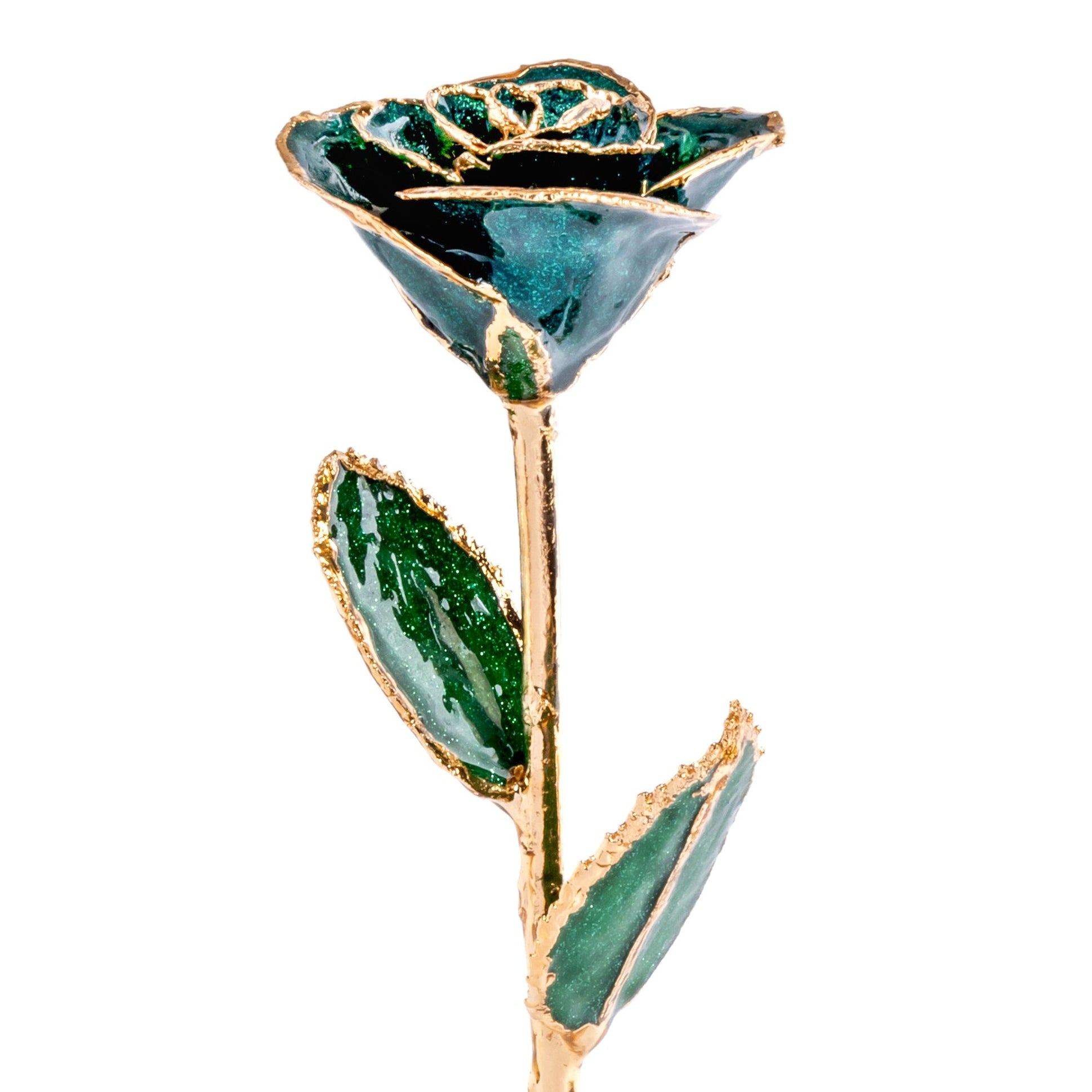 Green rose with gold stem on a white background