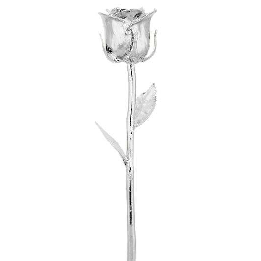 Classic Pure Silver dipped Rose