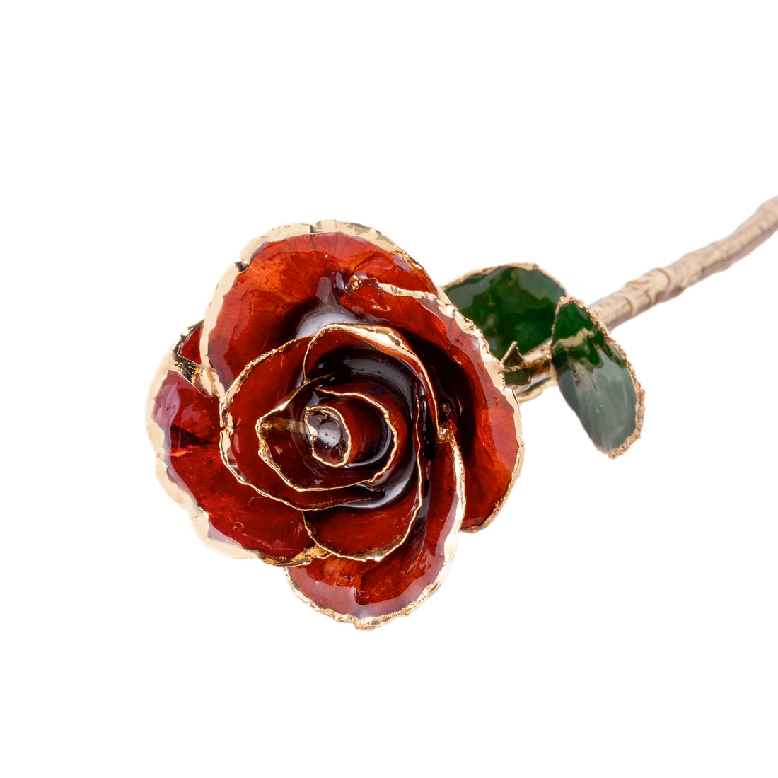 Elegant 24k Scarlet Red Gold dipped Rose