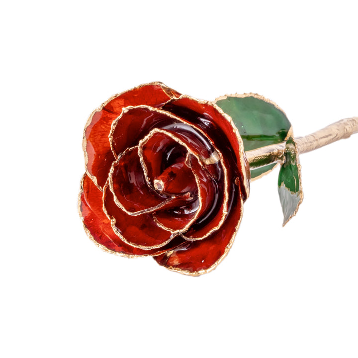 Elegant 24k Mystic Red Gold dipped Rose