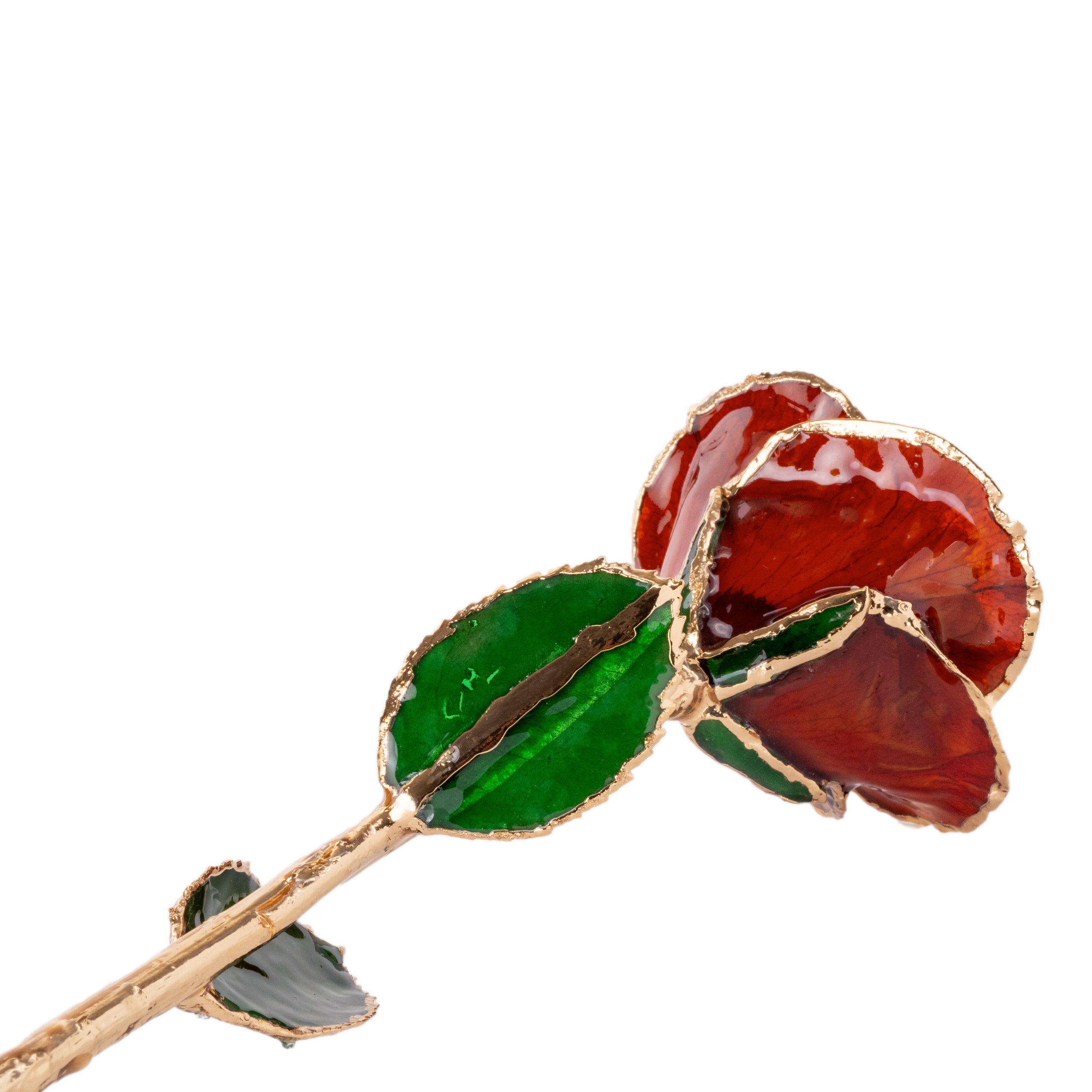 Elegant 24k Scarlet Red Gold dipped Rose