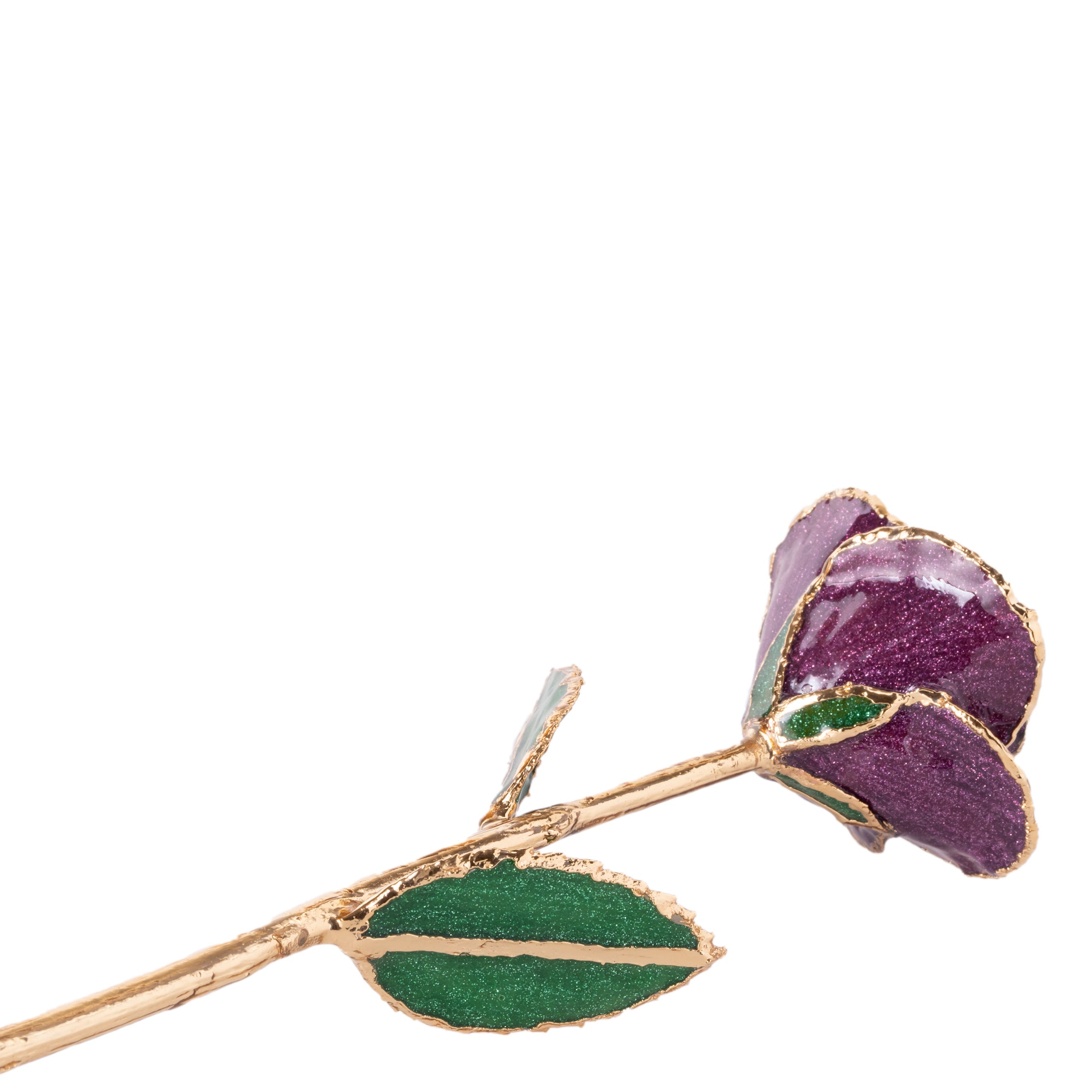 Elegant 24k Velvet Purple Gold dipped Rose