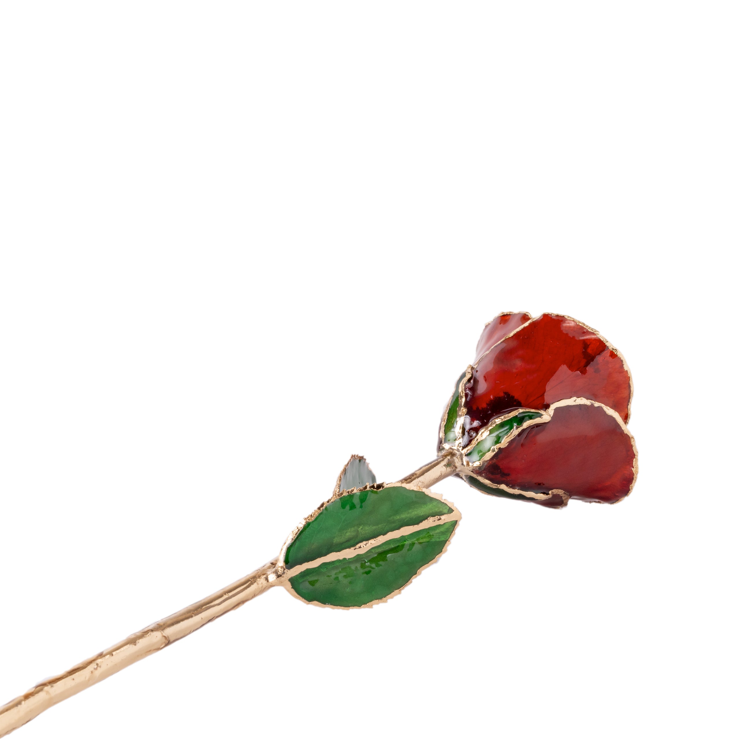 Elegant 24k Royal Red Gold dipped Rose