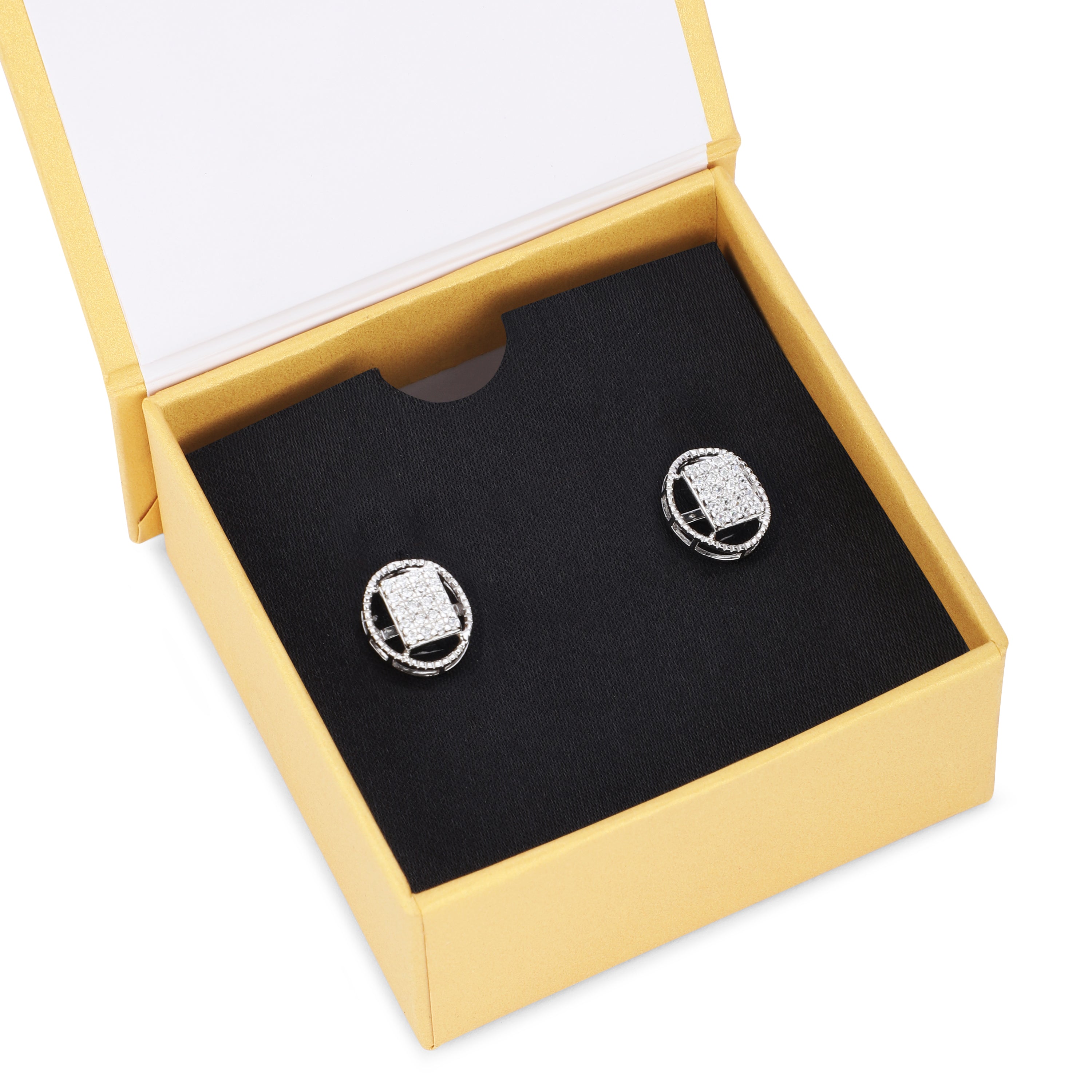 Radiant Shine Earring