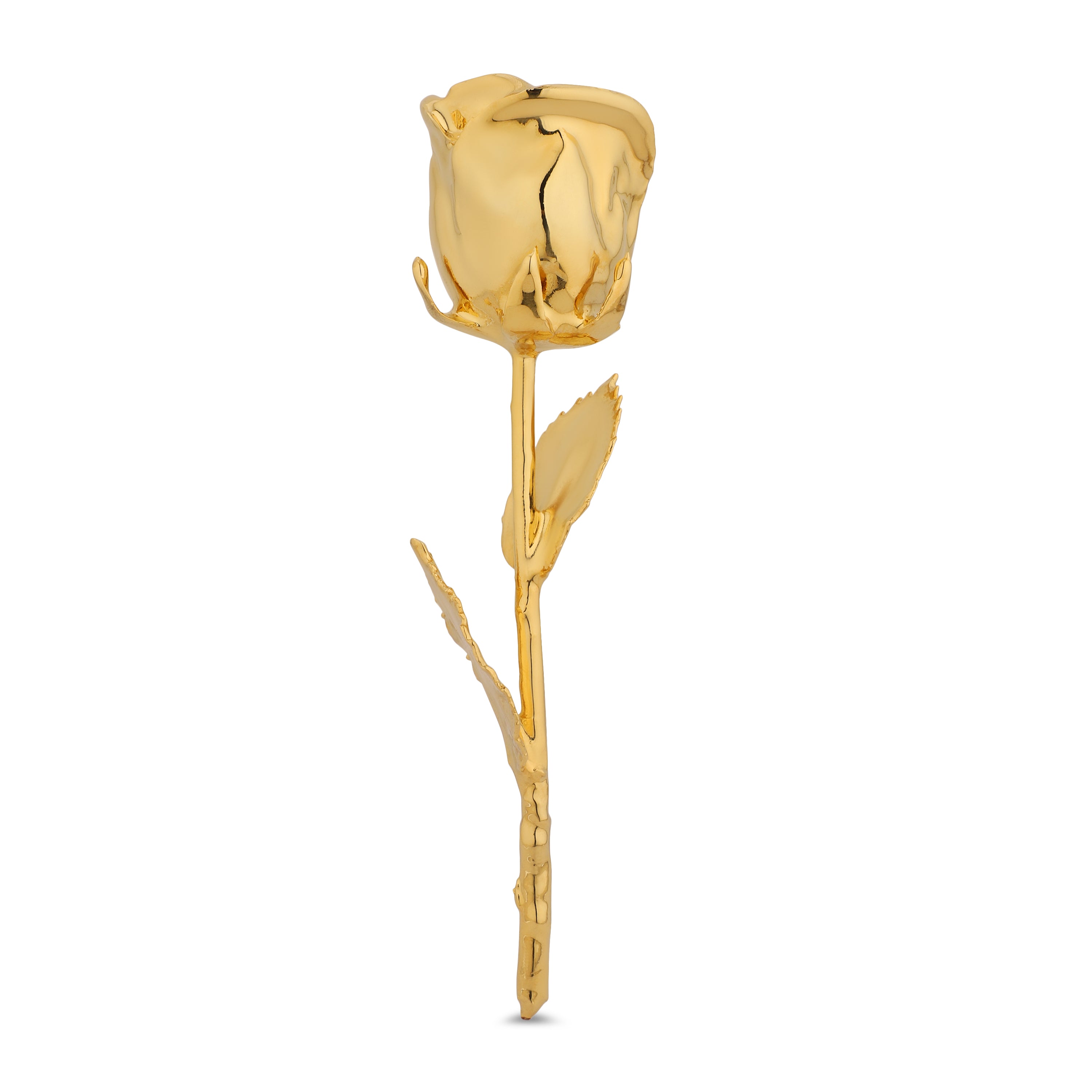 Elegant 24k Gold dipped Rose