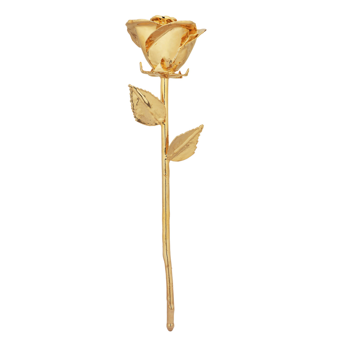 Premium 24k Gold dipped Rose