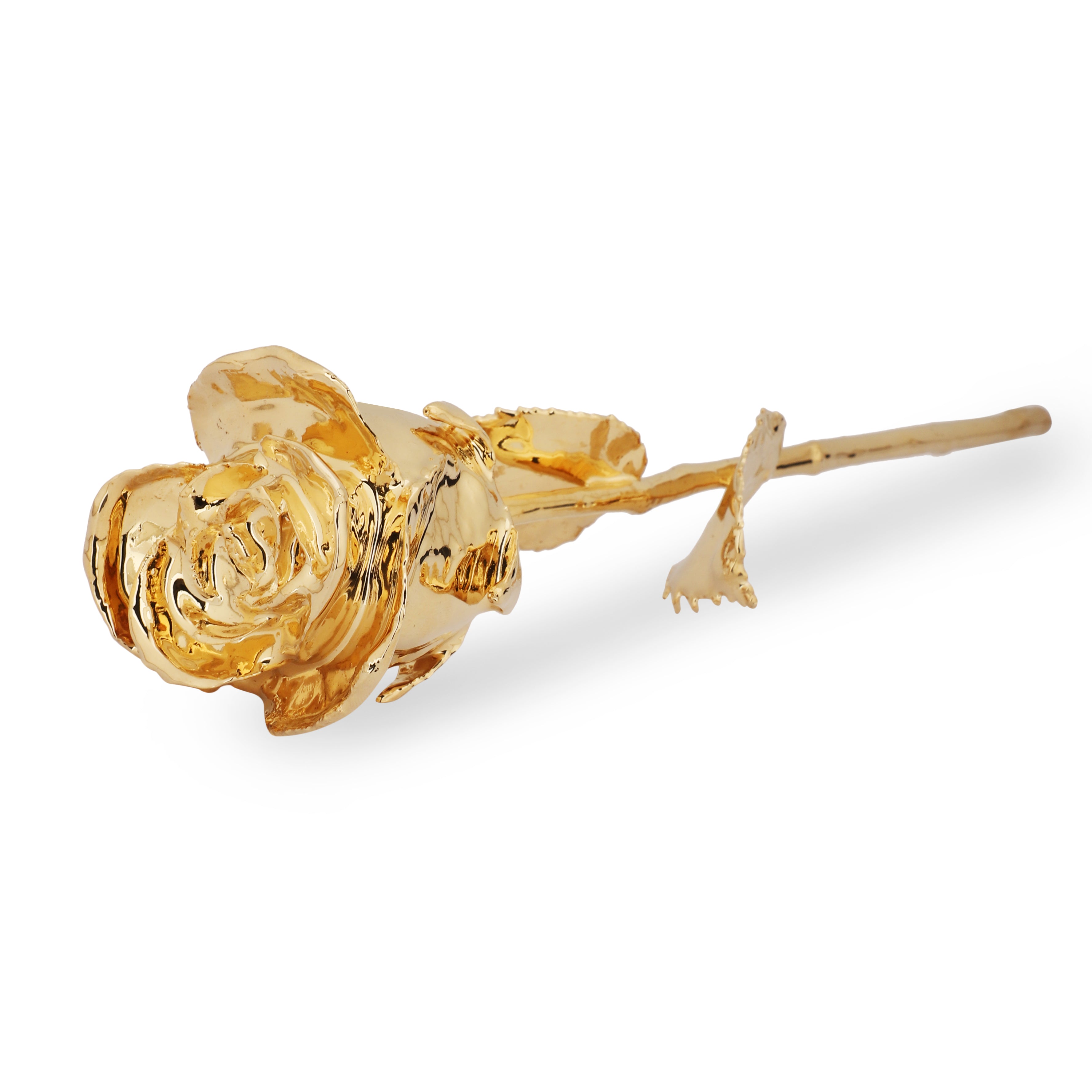 Classic 24k Gold dipped Rose Pack of 2
