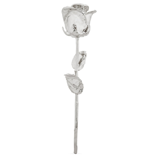 Classic Pure Silver dipped Rose