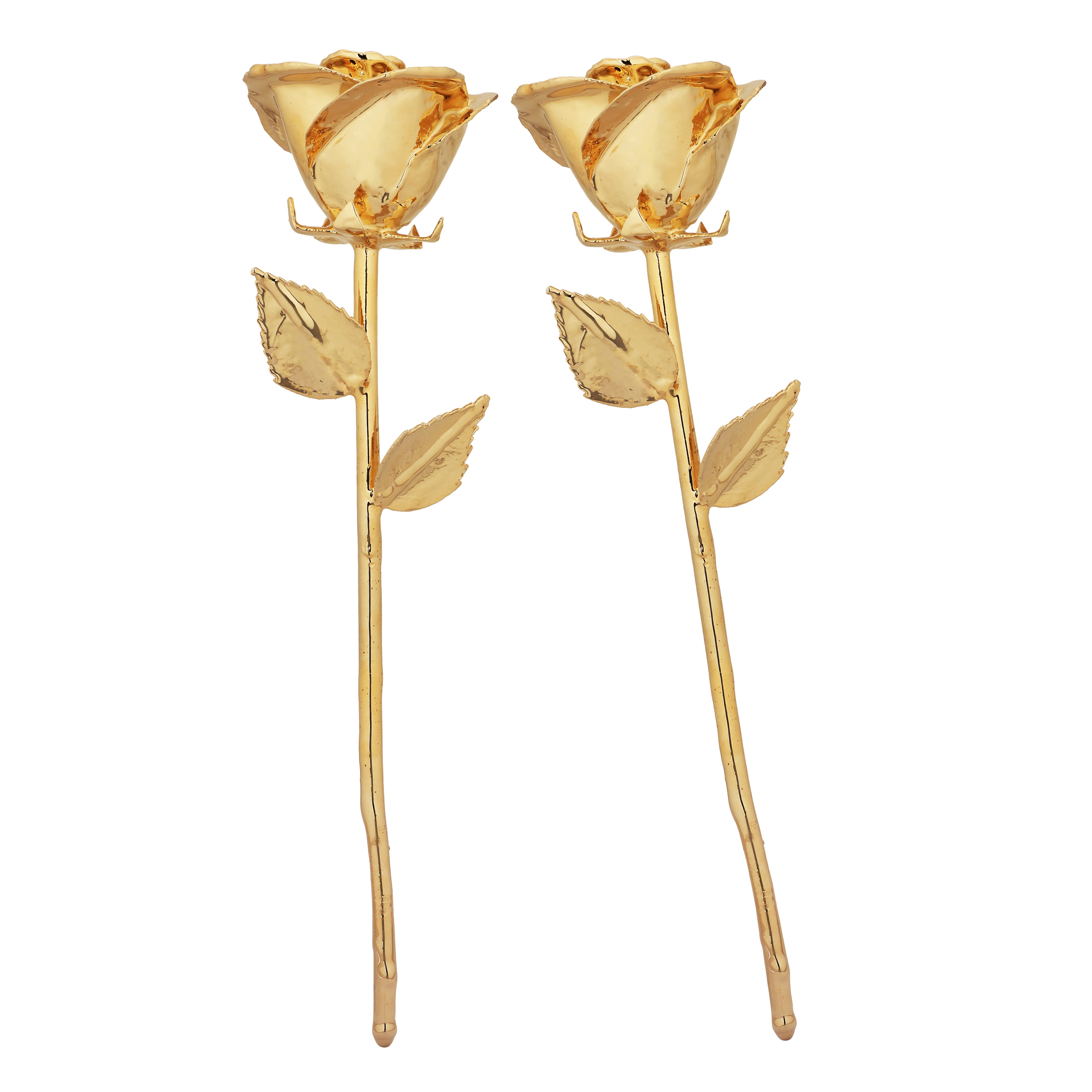 Premium 24k Gold dipped Rose Pack of 2