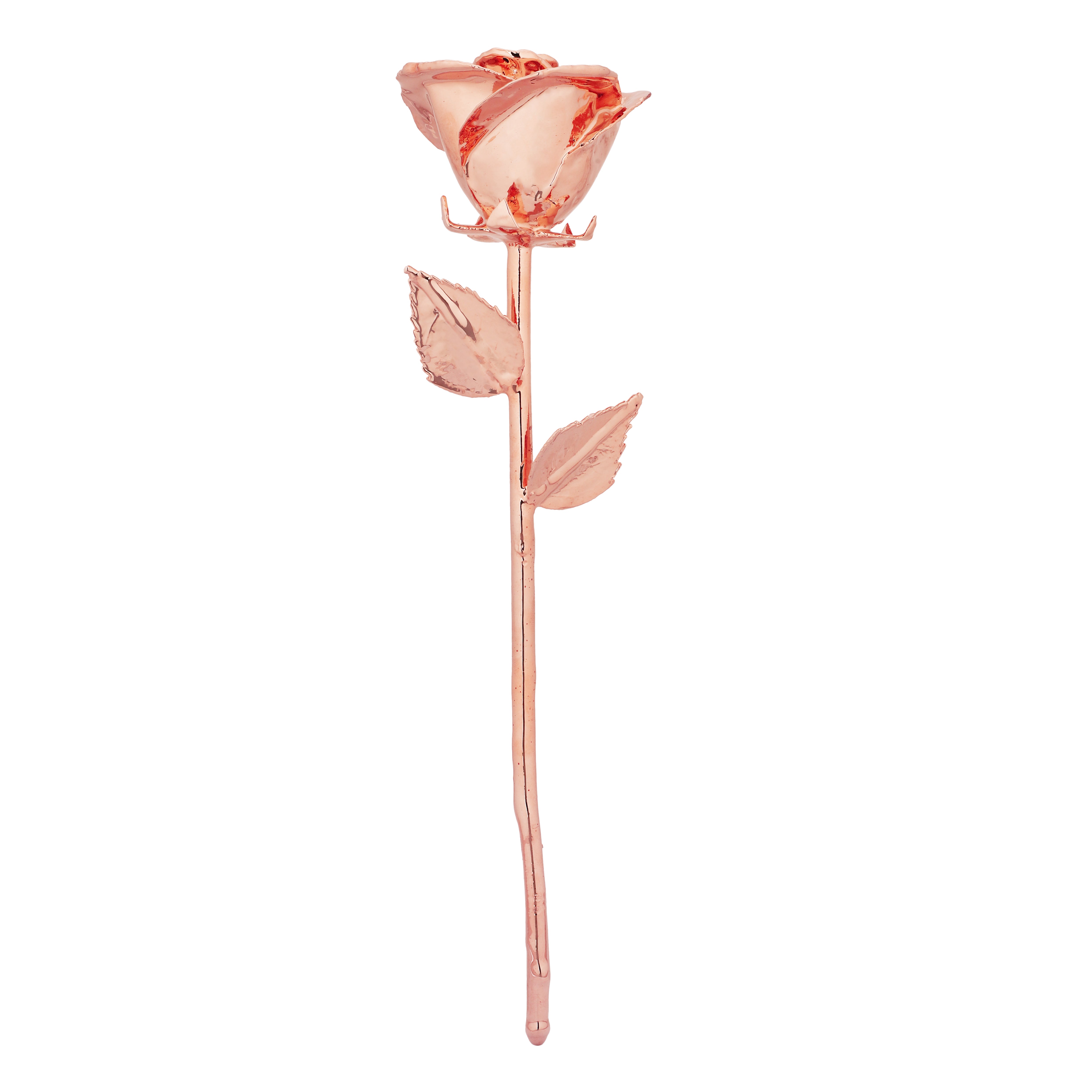 Premium RoseGold dipped Rose with Leatherite Box