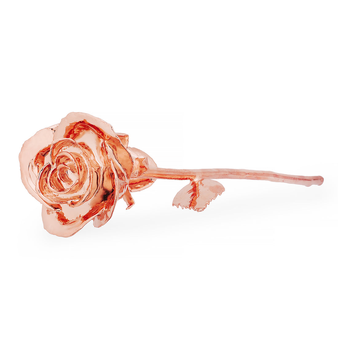 Premium RoseGold dipped Rose Pack of 2