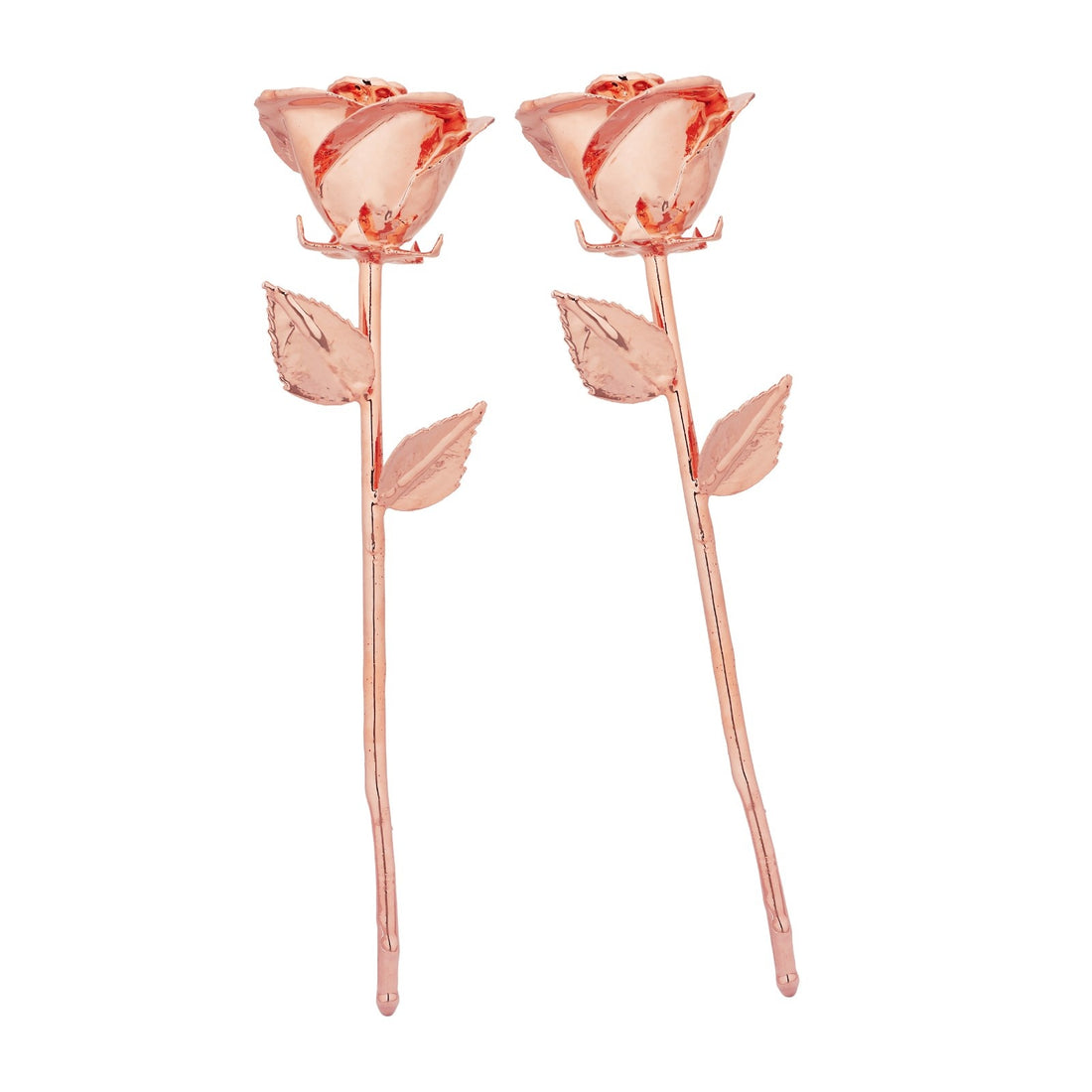 Premium RoseGold dipped Rose Pack of 2