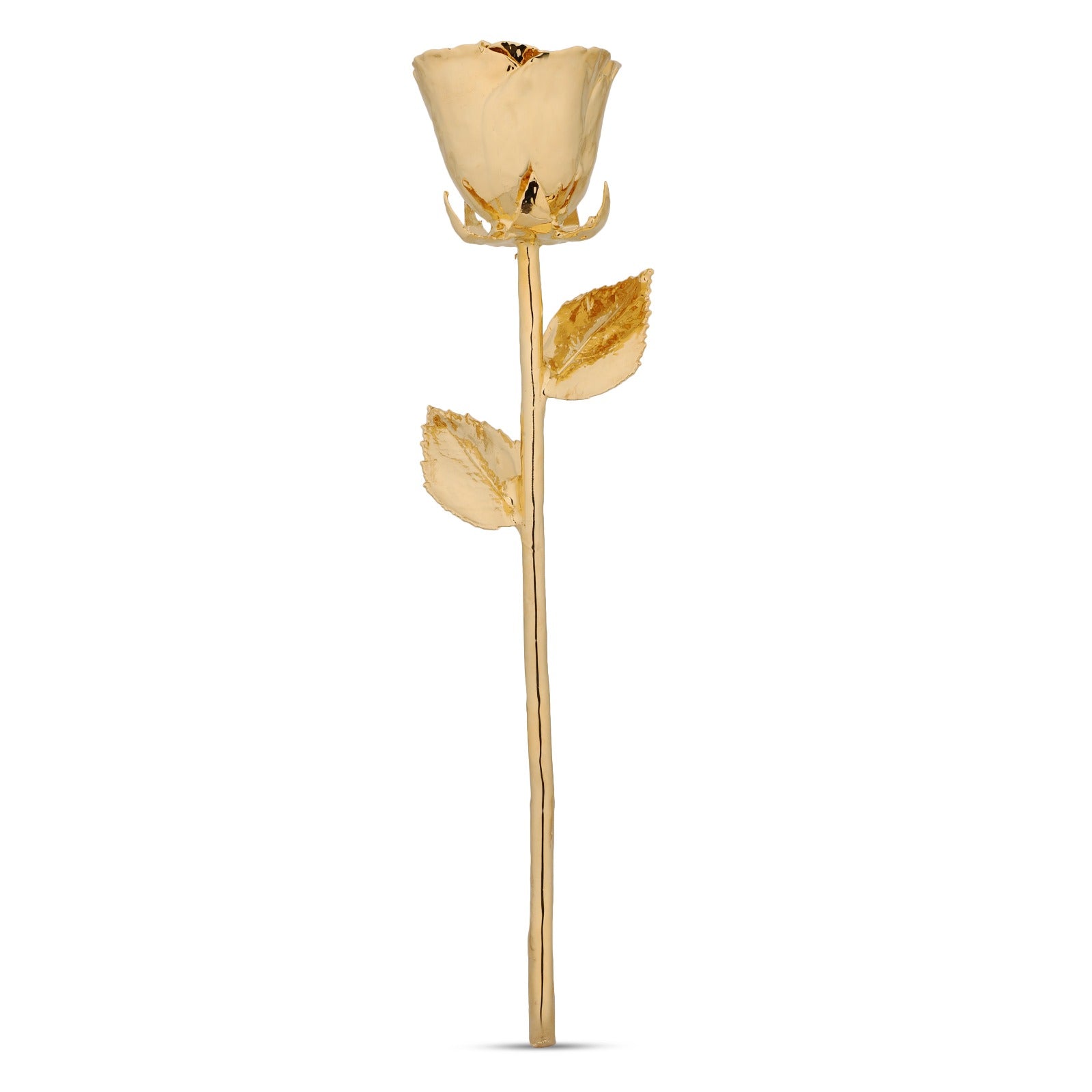 Grace 24k gold dipped rose with Leatherite Box