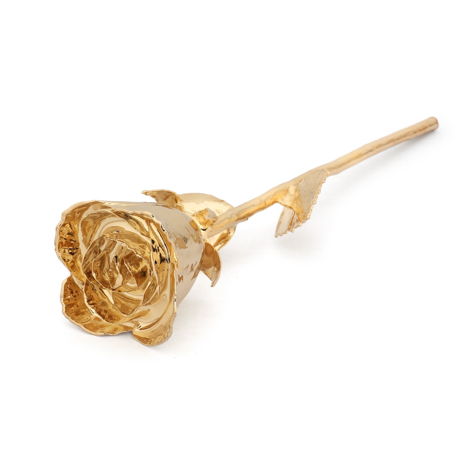 Grace 24k gold dipped rose