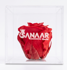Eternal | Real Preserved Rose | Scarlet Red | Crystal Acrylic Cube