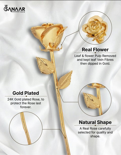Elegant 24k Gold dipped Rose