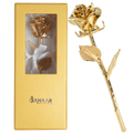 Premium | 7 inches | 24k Gold dipped Rose | Gold Gift Box