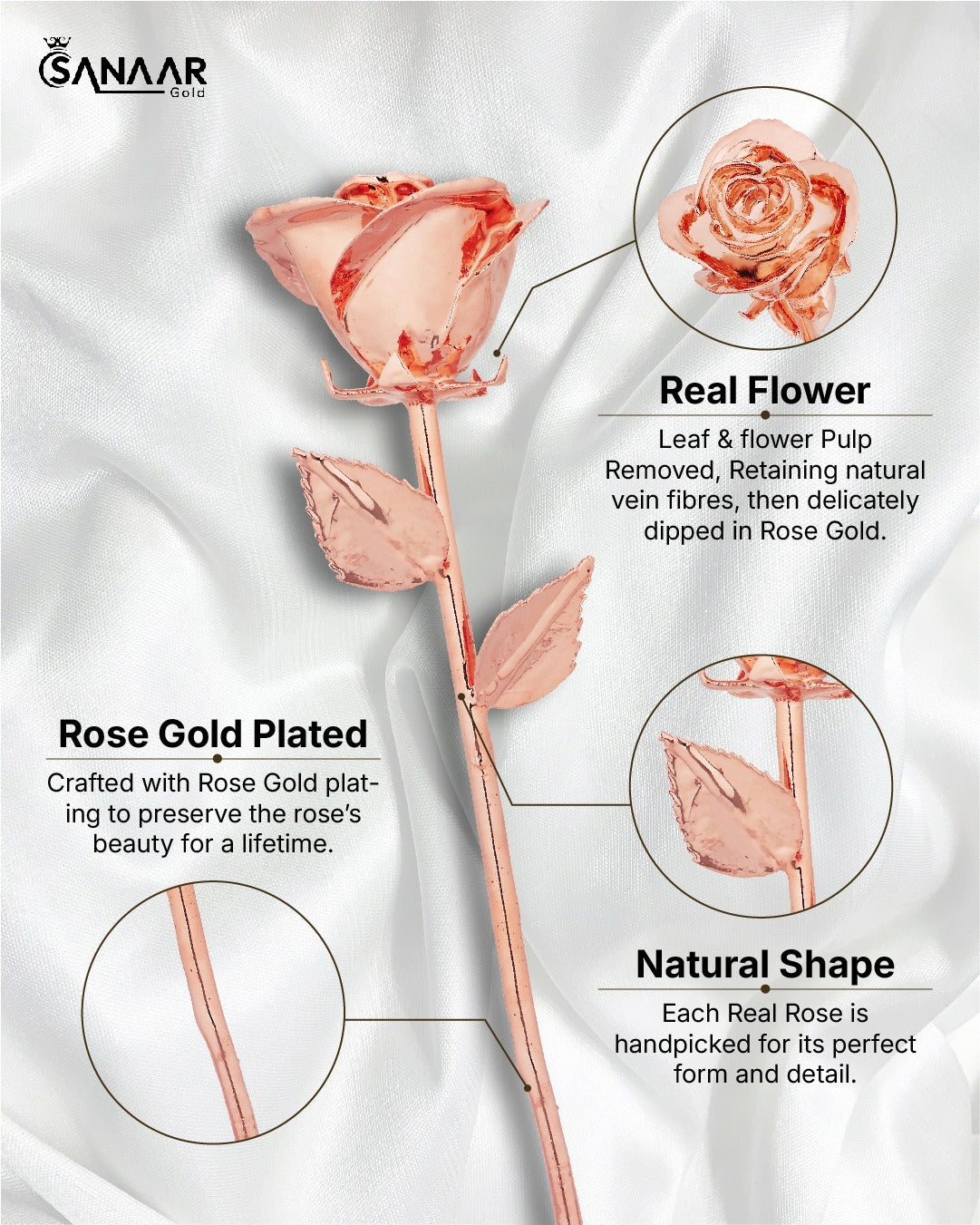 Premium RoseGold dipped Rose Pack of 2