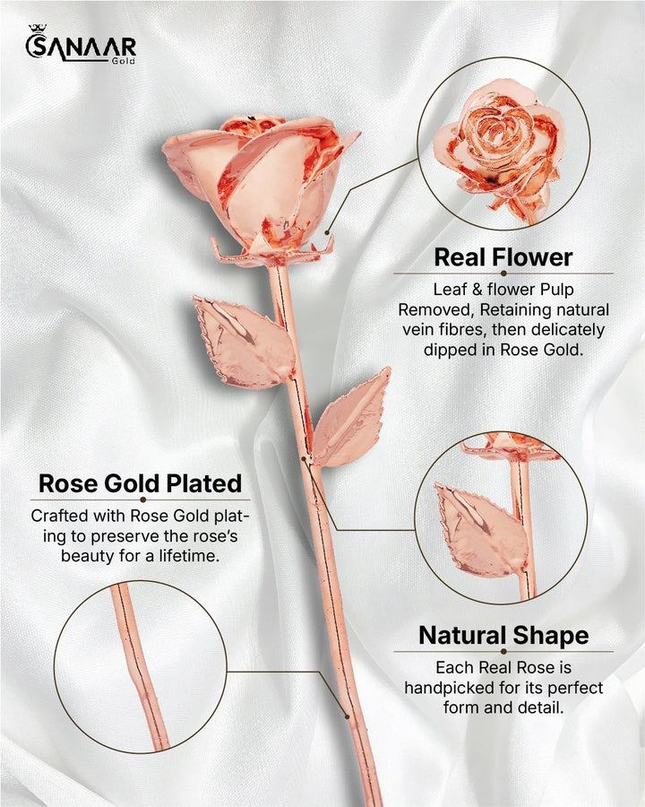 Premium RoseGold dipped Rose