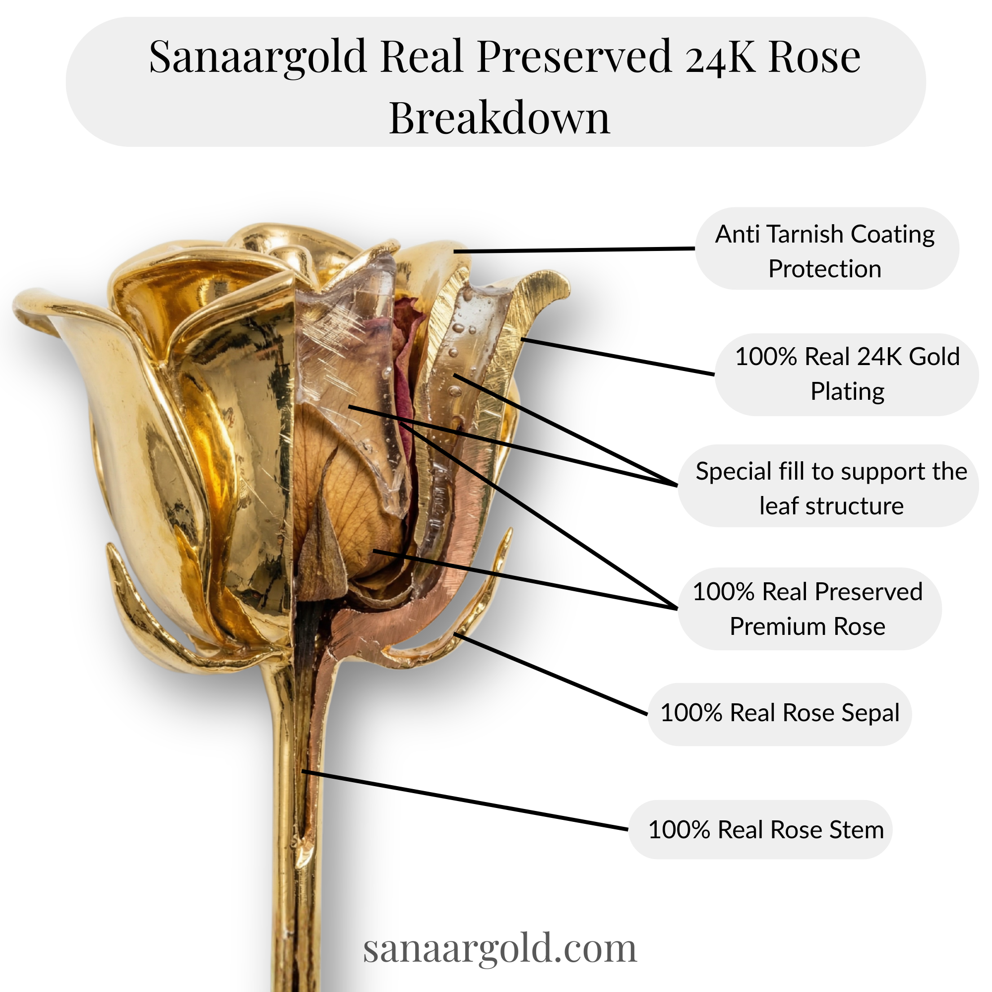 Premium 24k Gold dipped Rose with Leatherite Box