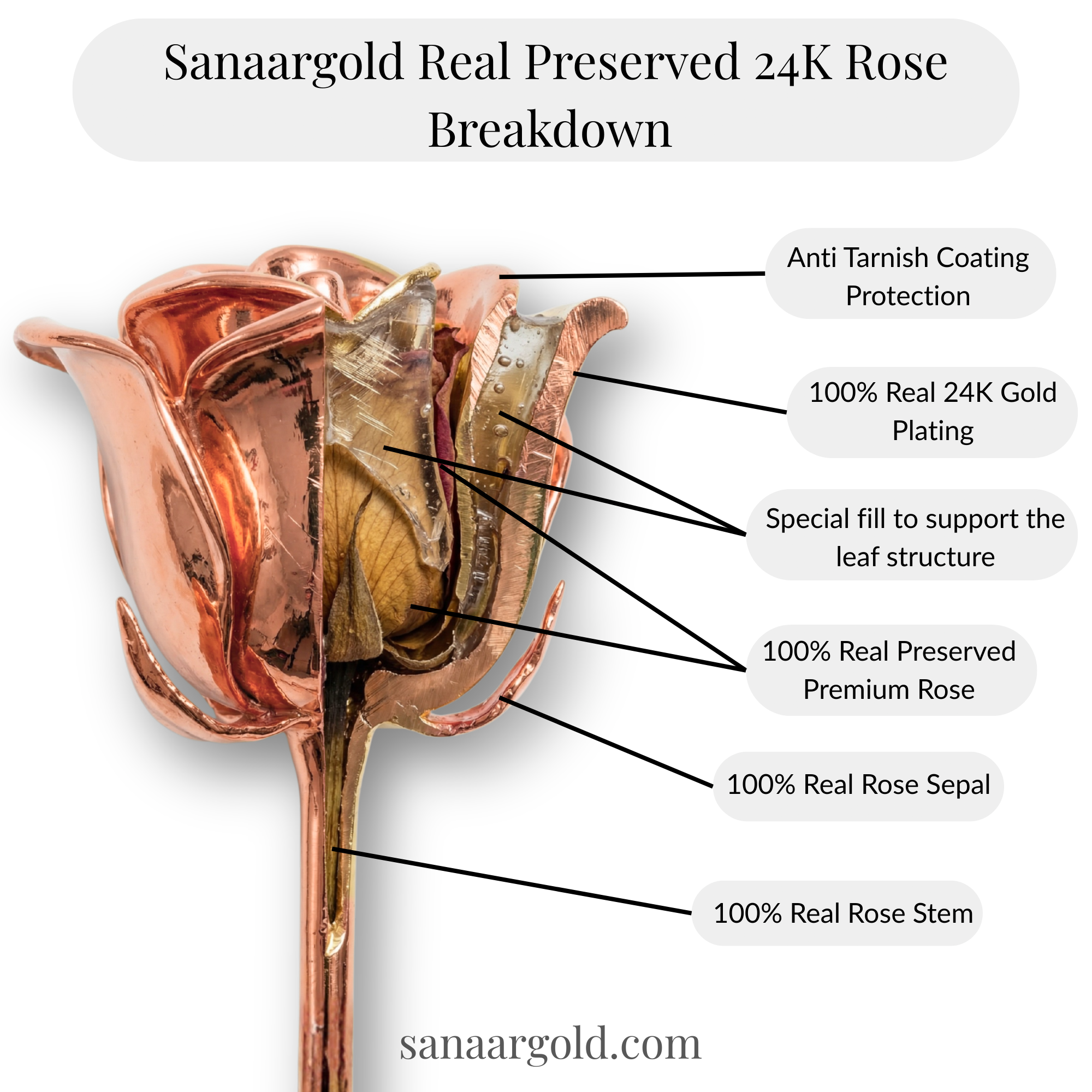 Premium | 24k Gold dipped Rose (RG) | Gold Gift Box | 12in