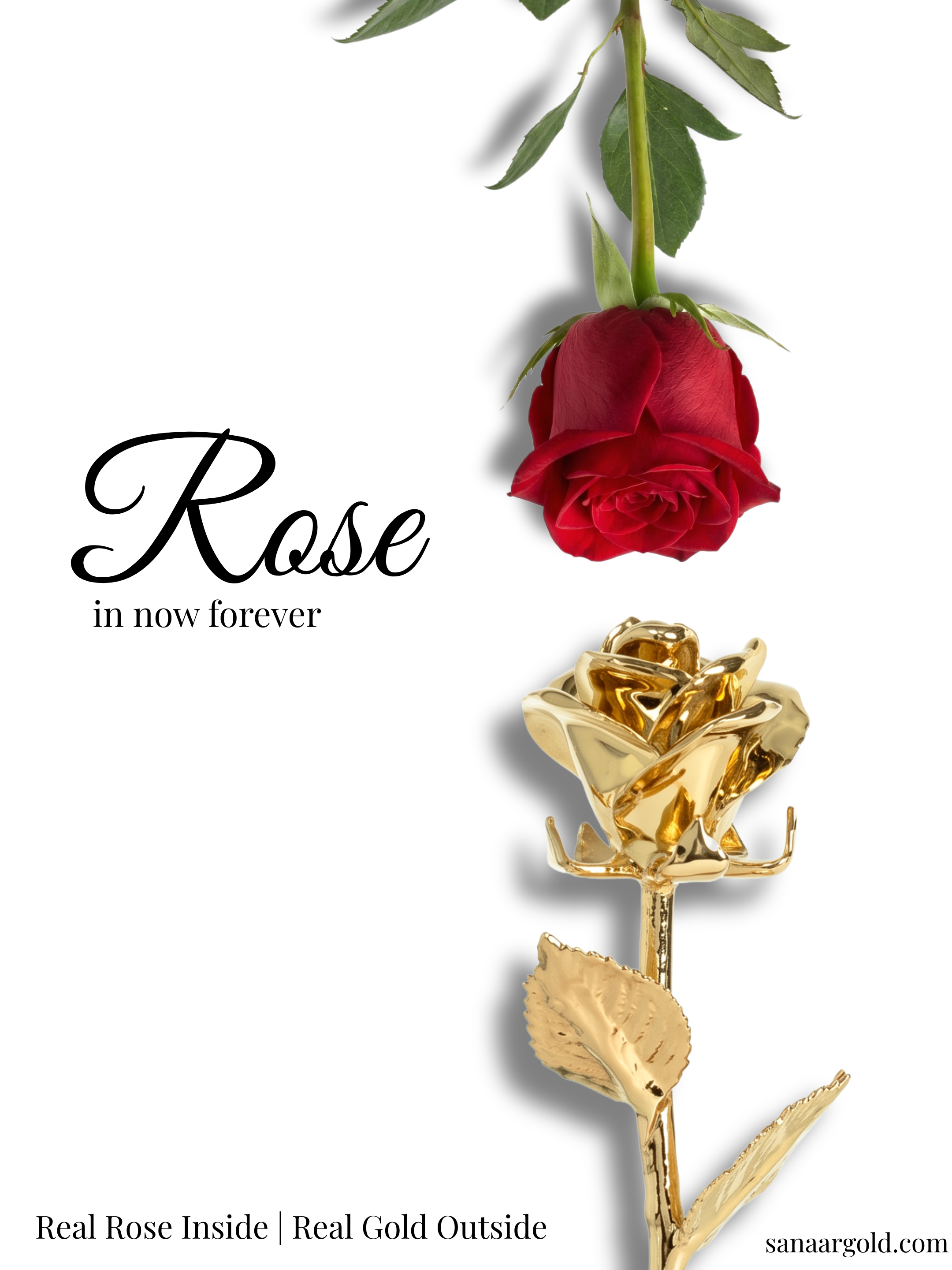Premium | 24k Gold dipped Rose | Gold Gift Box | 7 inches